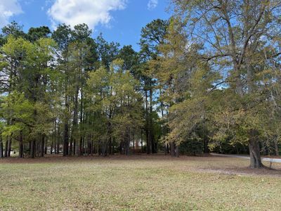 0 Otis Rd. & Longleaf Drive, Walterboro, SC 29488