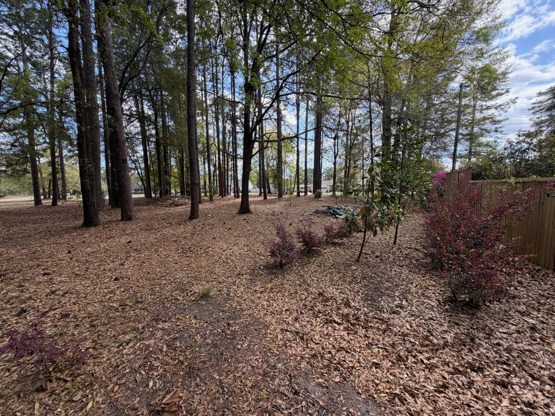 0 Otis Rd. & Longleaf Drive Photo 4