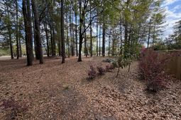 0 Otis Rd. & Longleaf Drive photo 4