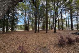 0 Otis Rd. & Longleaf Drive photo 4