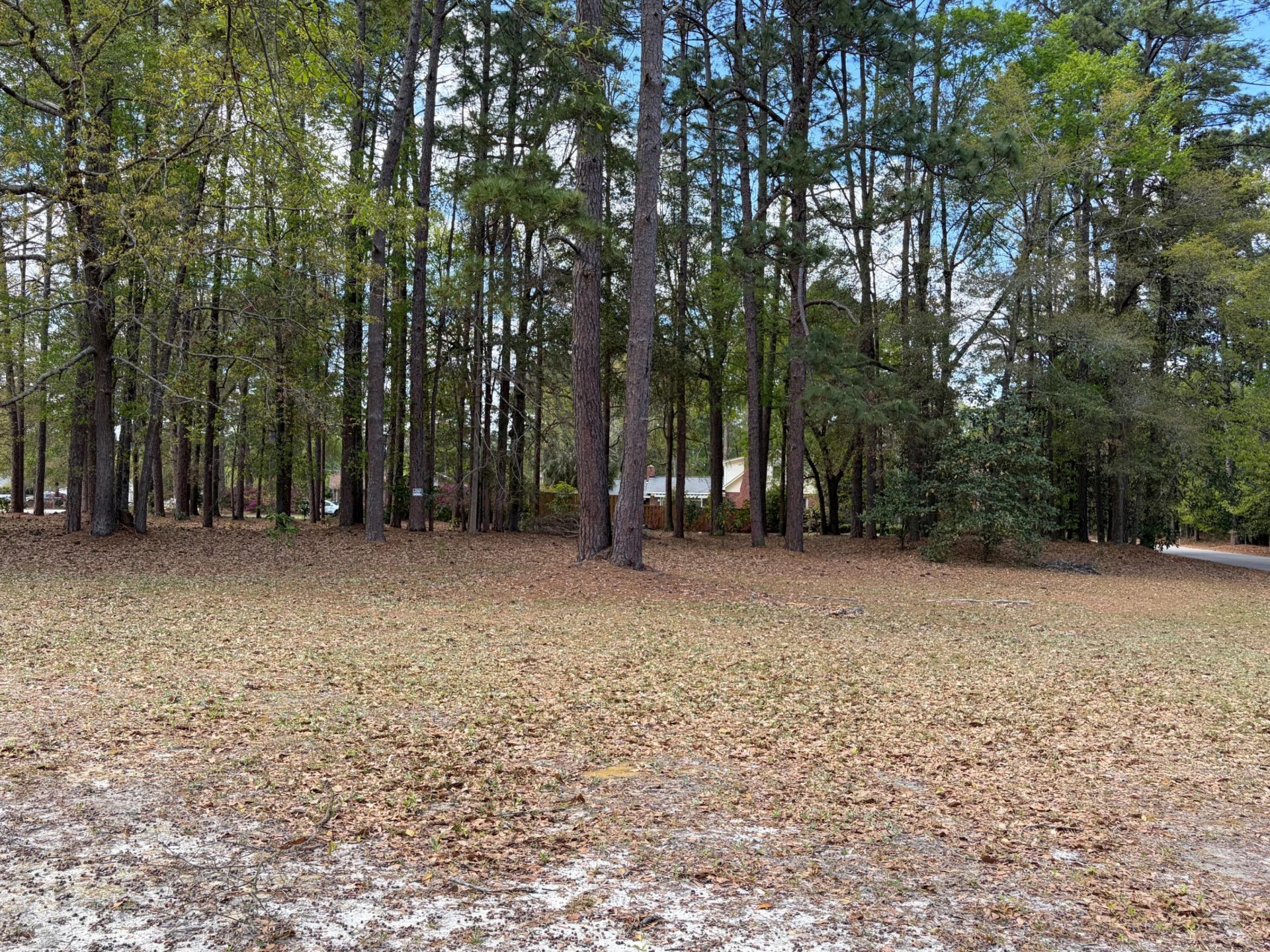 0 Otis Rd. & Longleaf Drive Photo 6