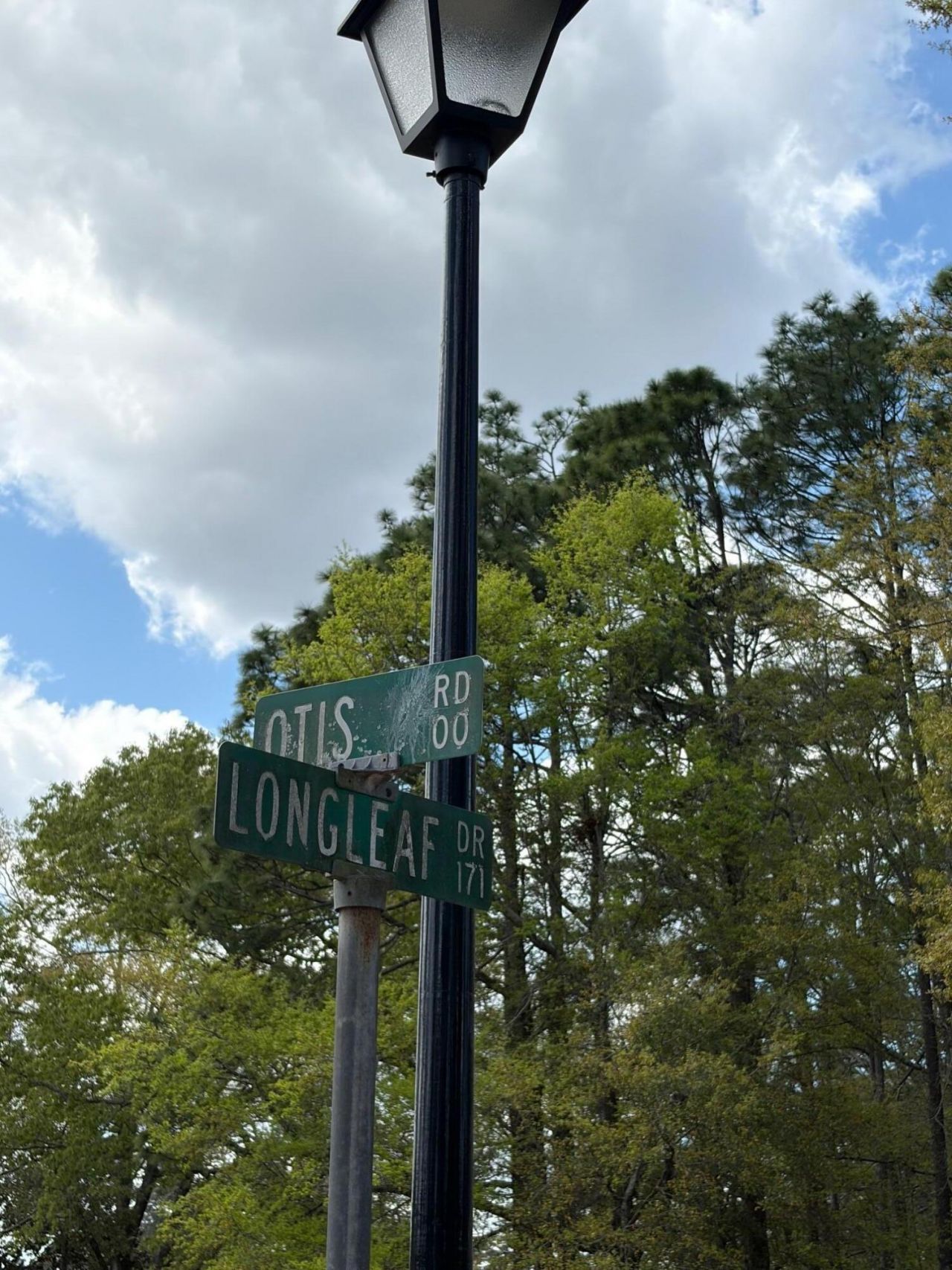 0 Otis Rd. & Longleaf Drive Photo 8