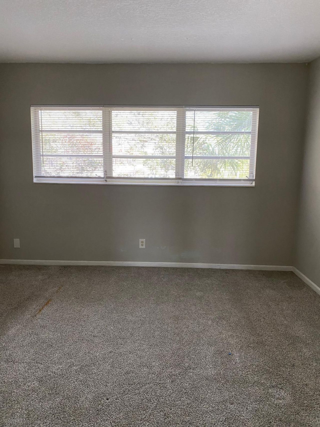 2303 S Federal Highway, Unit 19, Boynton Beach, FL 33435 Photo