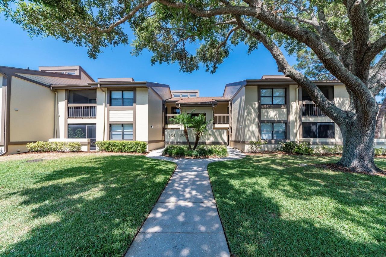 303 Woodlake Wynde, Oldsmar, FL 34677 Main Photo