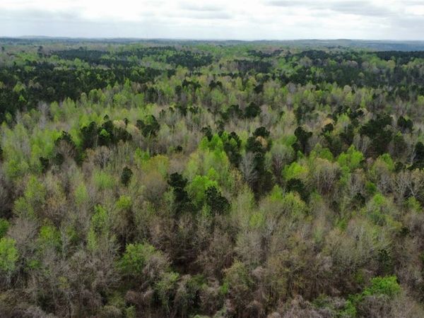 3 County Highway 42 , Guin, AL 35563