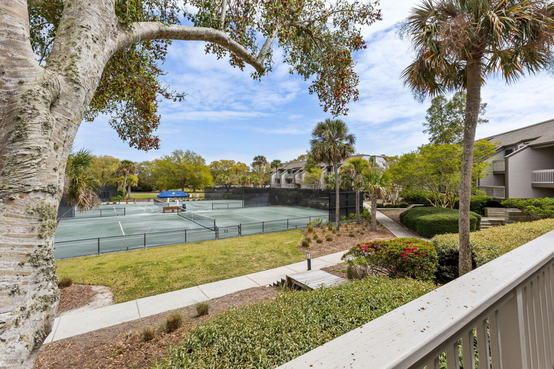 1621 Live Oak Park Photo 25