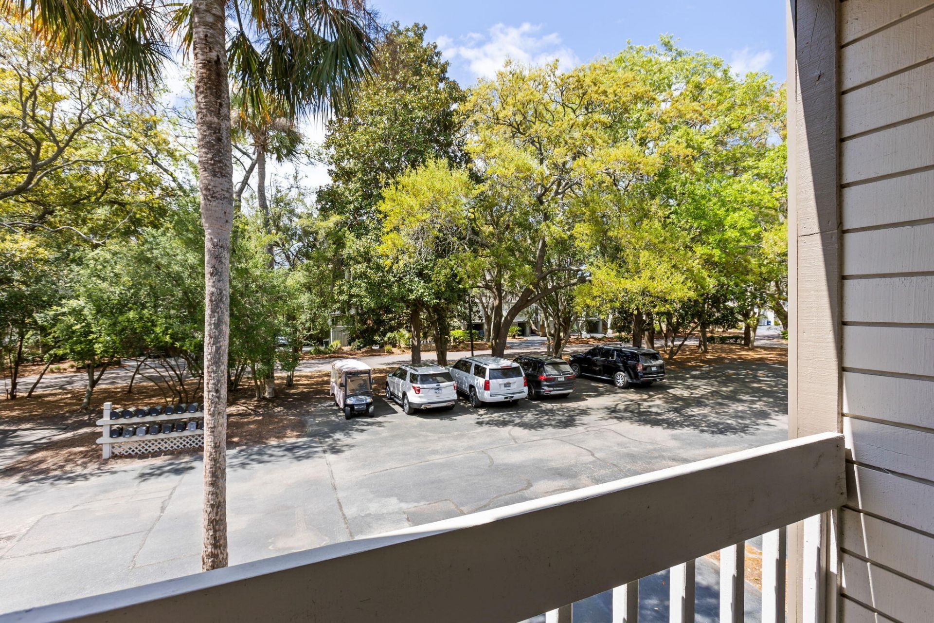 1621 Live Oak Park Photo 28