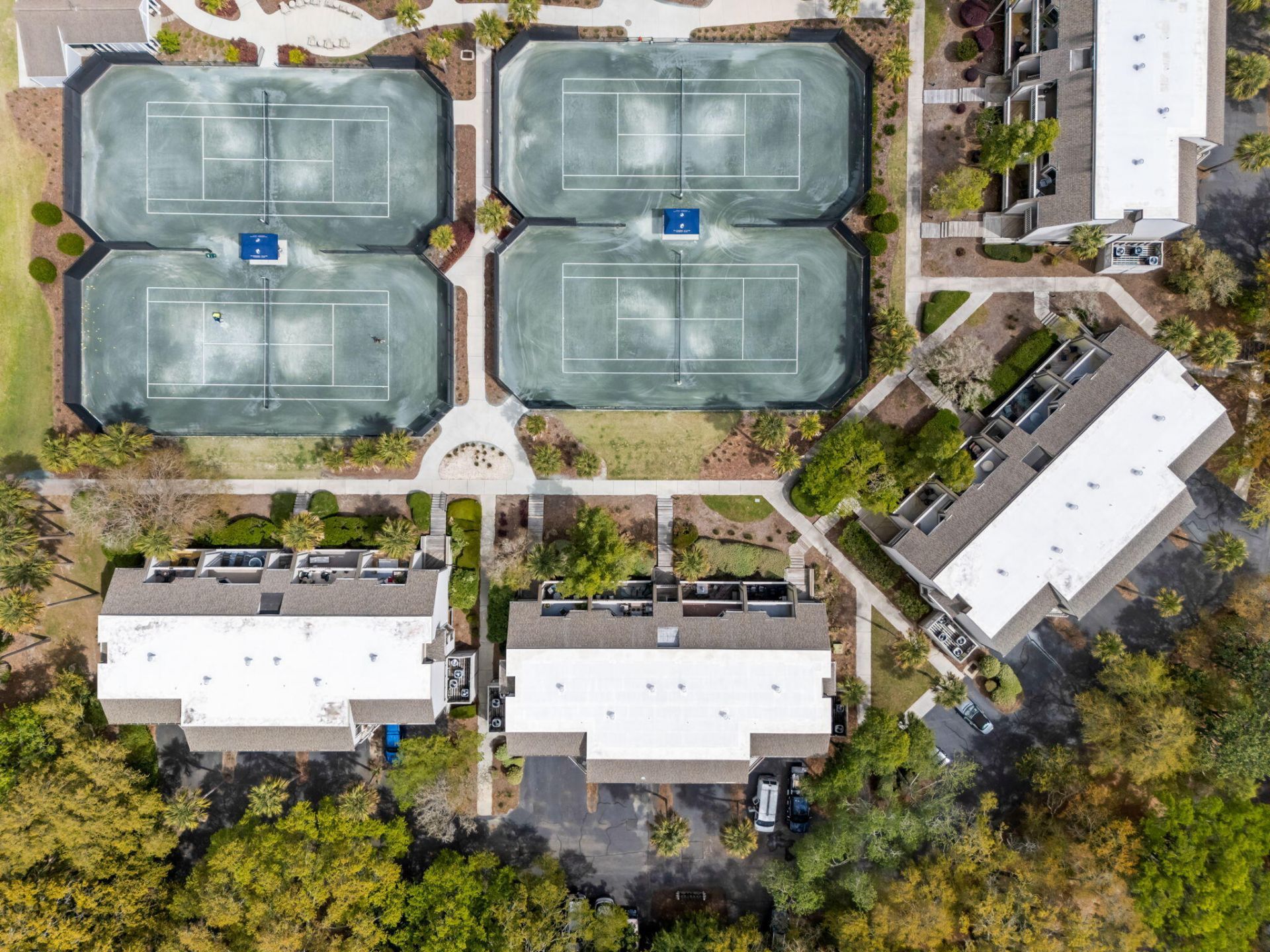 1621 Live Oak Park Photo 29