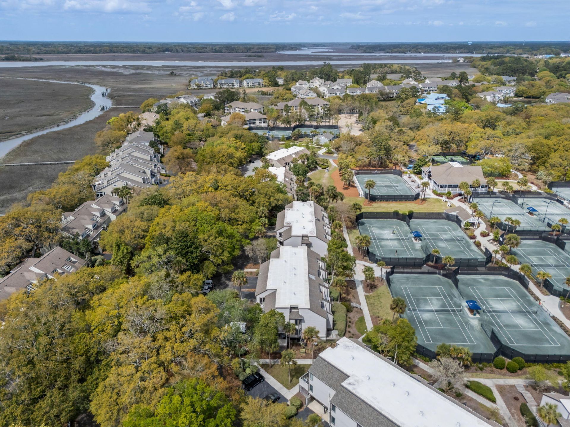 1621 Live Oak Park Photo 37