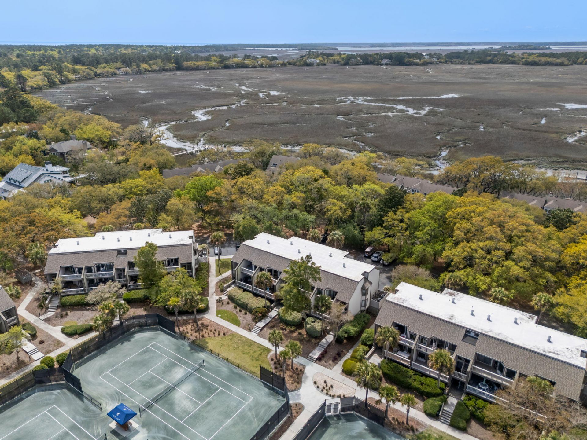 1621 Live Oak Park Photo 38