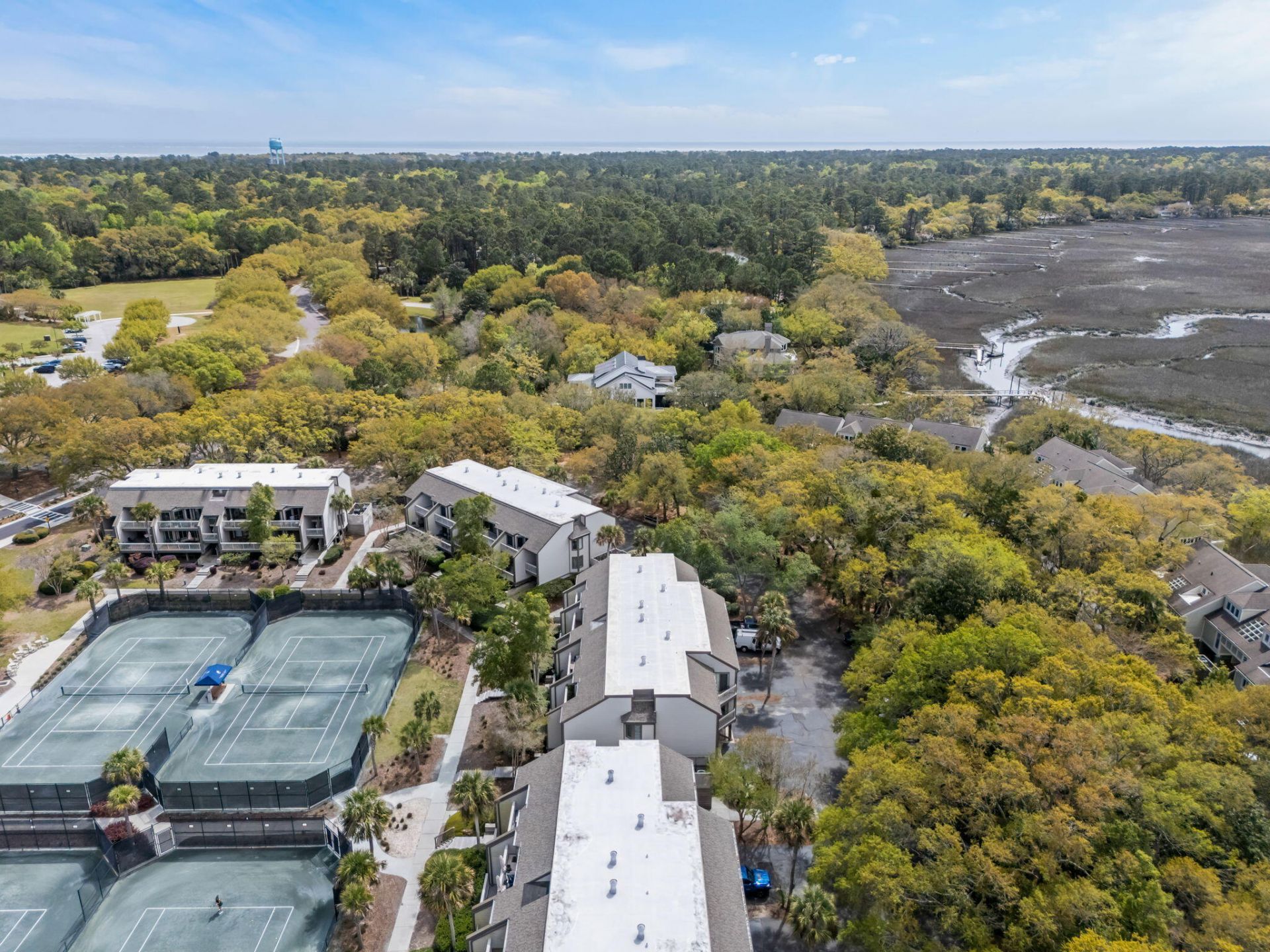 1621 Live Oak Park Photo 39