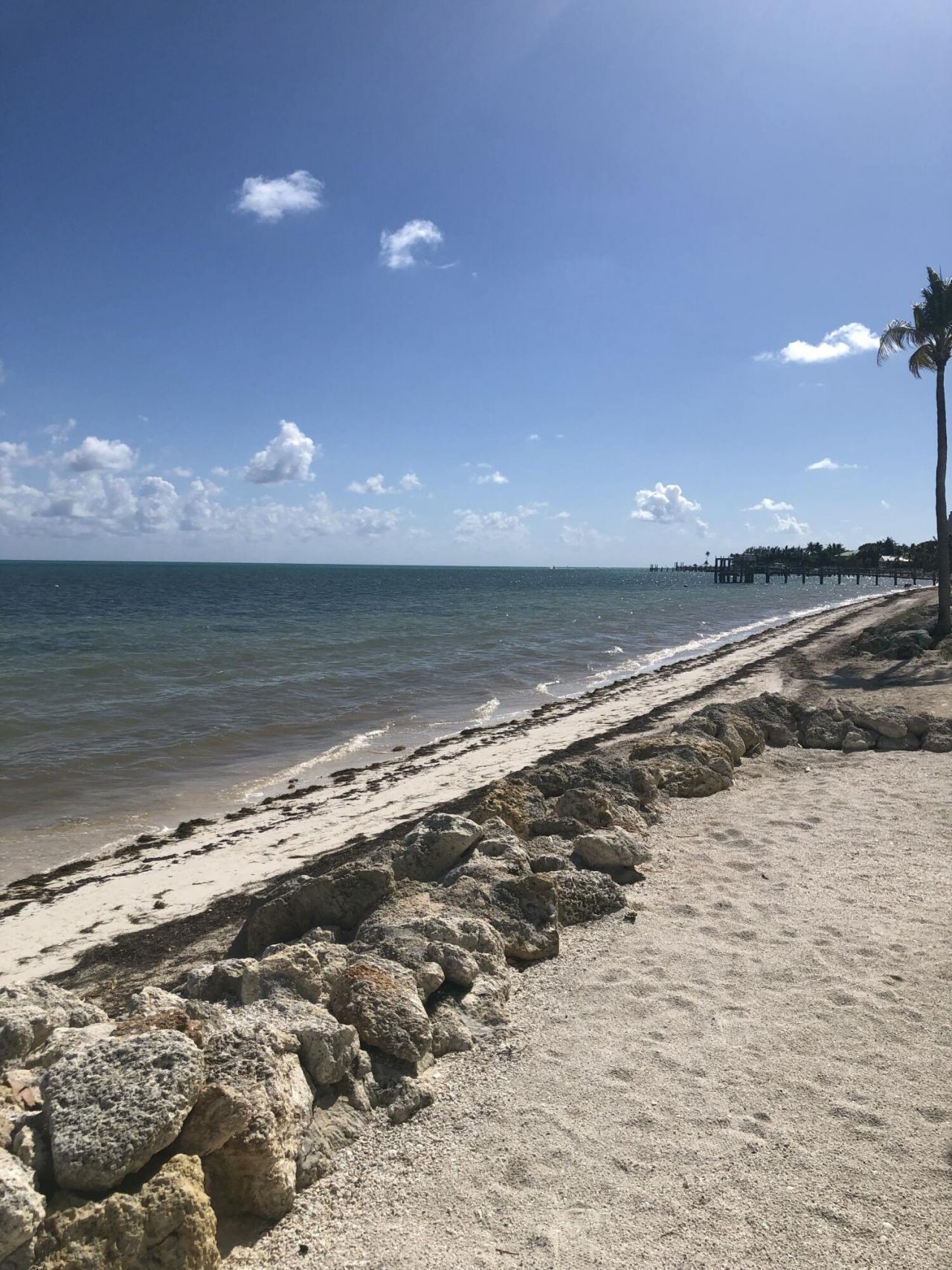 135 Coco Plum Drive, Unit APT 3B, Marathon, FL 33050 Photo