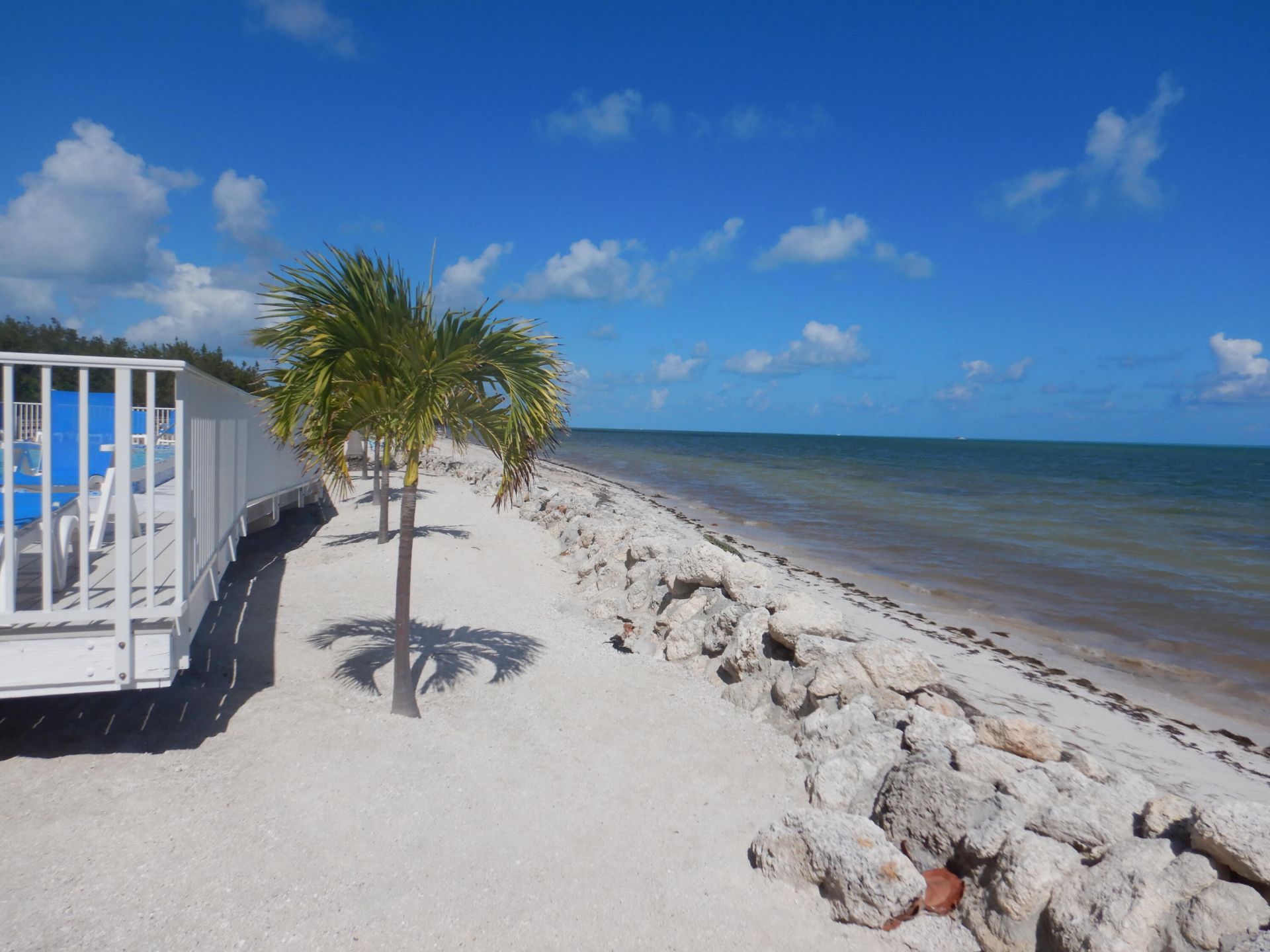 135 Coco Plum Drive, Unit APT 3B, Marathon, FL 33050 Photo
