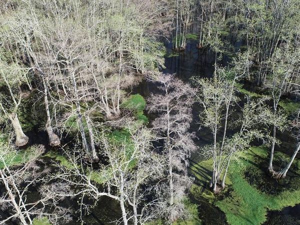 000 County Road 420, Other, MS 38944