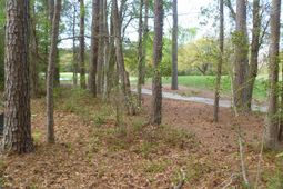 77 Grey Fox Loop photo 4