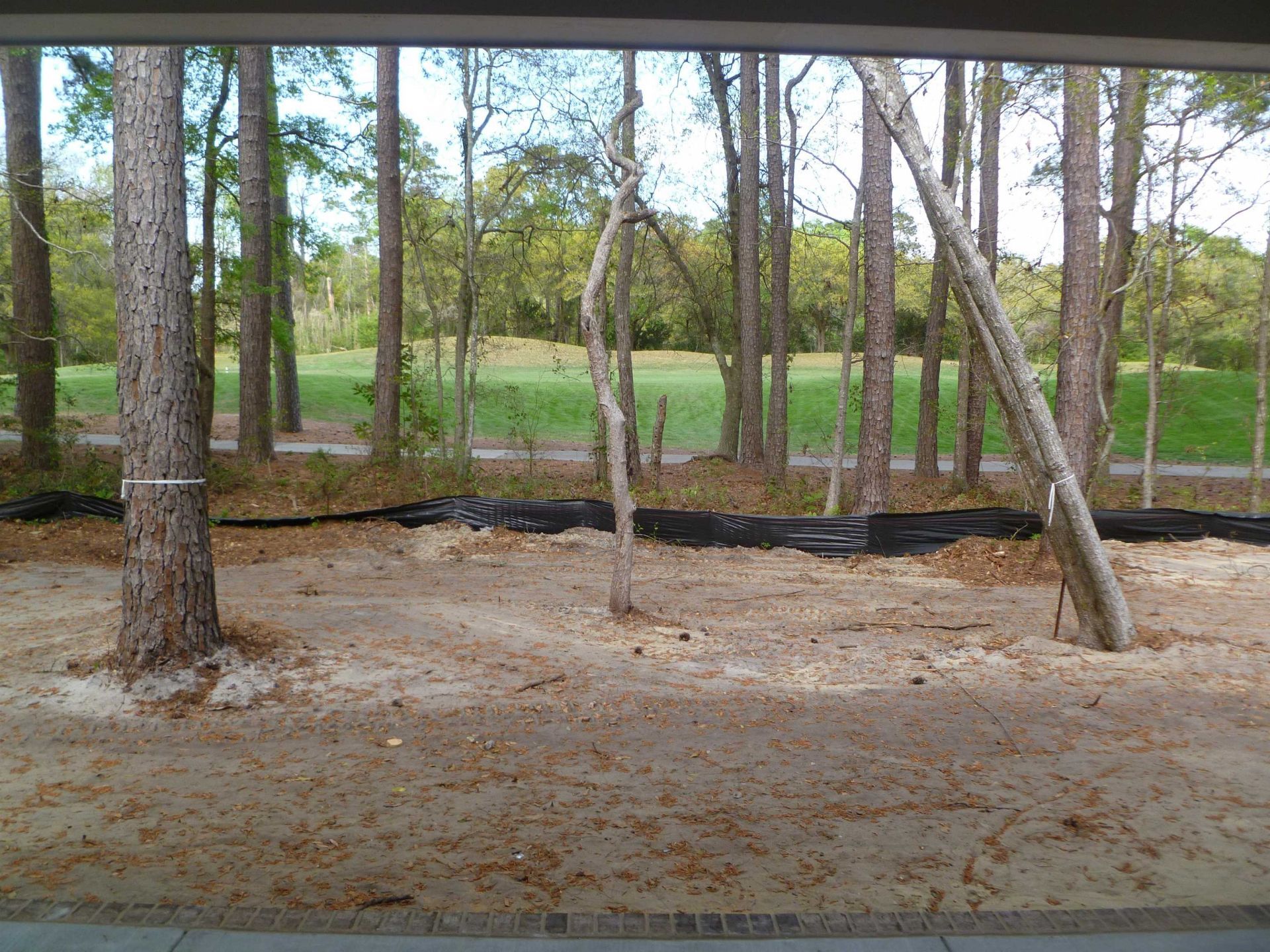 77 Grey Fox Loop Photo 4