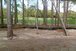 77 Grey Fox Loop photo 4