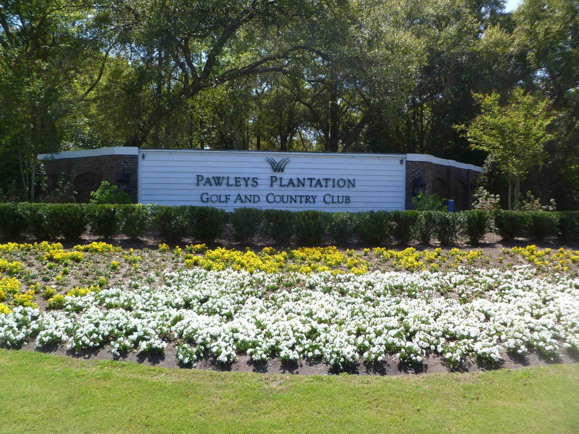 77 Grey Fox Loop Photo 5