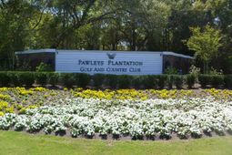 77 Grey Fox Loop photo 4