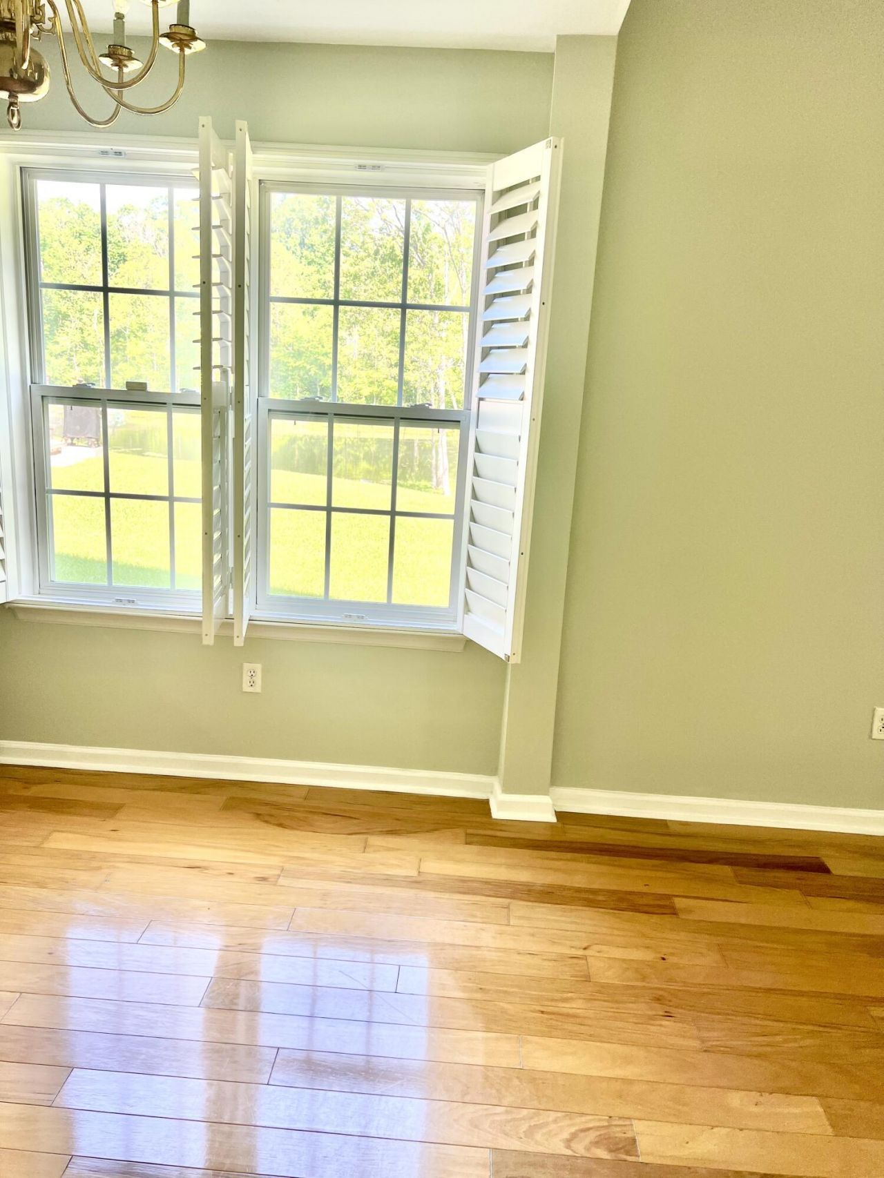 8709 Grassy Oak Trail Photo 11