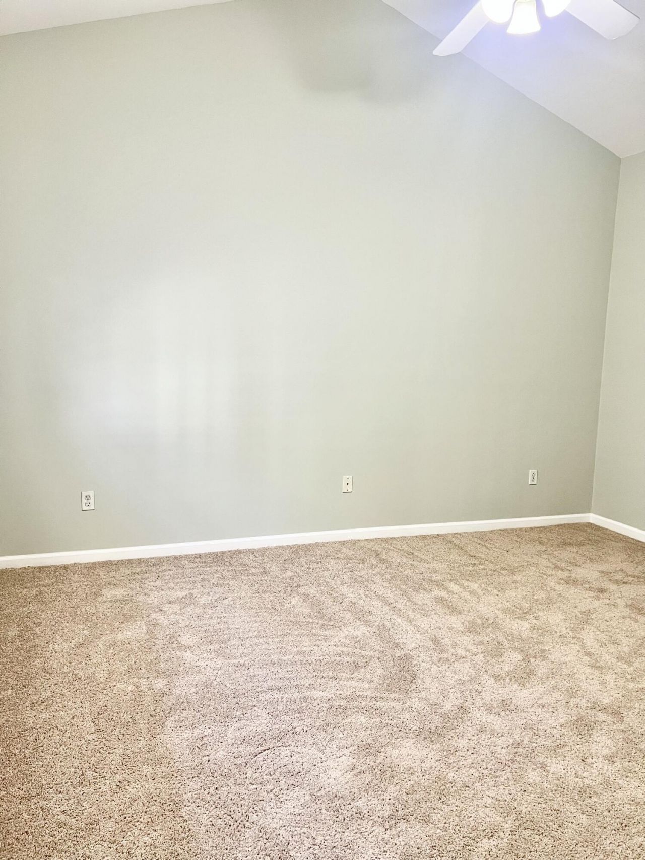 8709 Grassy Oak Trail Photo 18