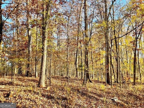 0 Fullerton-Phillips Road, Hillsboro, GA 31038