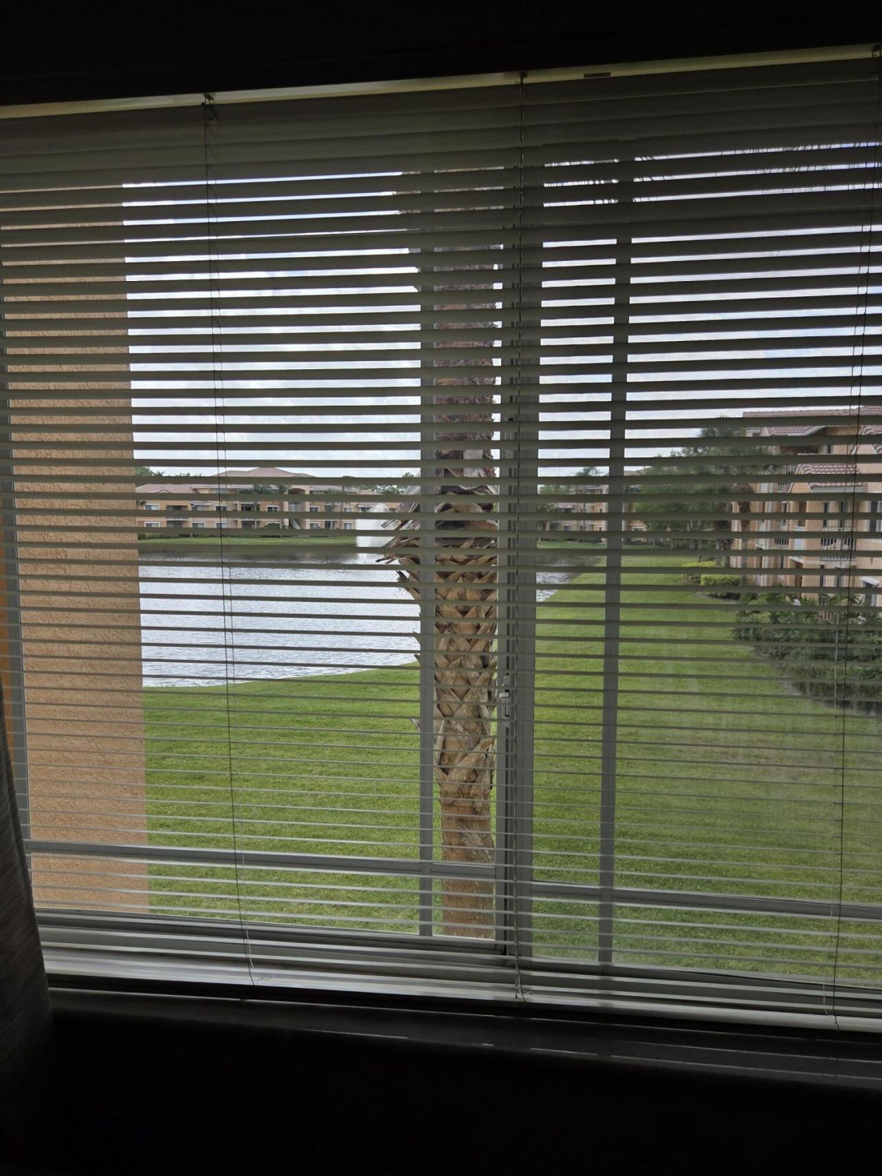 131 SW Palm Drive, Unit 206, Port Saint Lucie, FL 34986 Photo