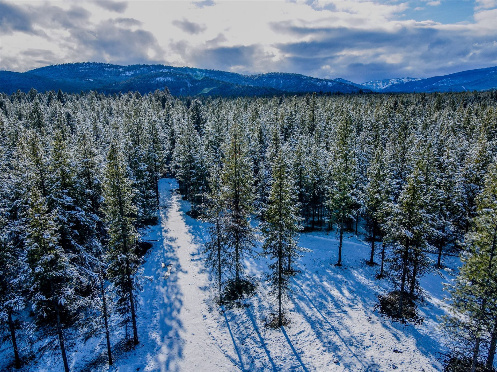 Lot 14 Klabo Drive , Libby, MT 59923 Main Photo