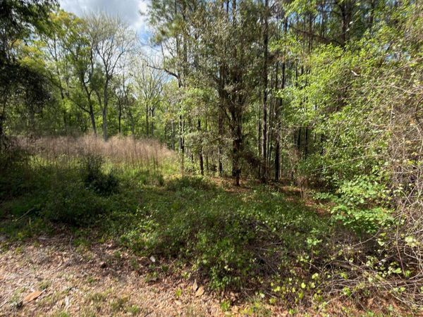 4501 TARRAGON Avenue, Middleburg, FL 32068