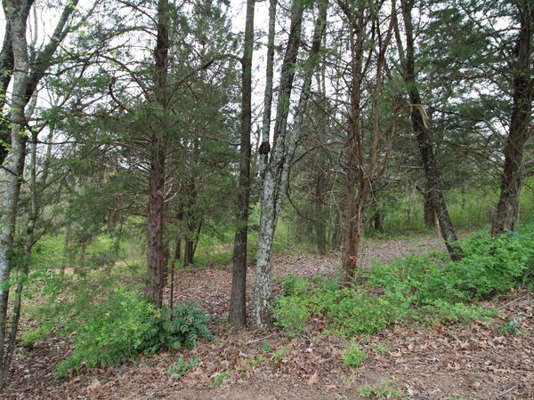 2550 Folkner Road, Hixson, TN 37343