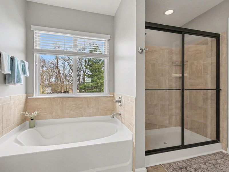 11016 Gato Del Sol, Union, KY 41091 Photo 27