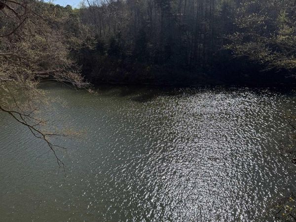 Lot 11 County Road 3782, Arley, AL 35541