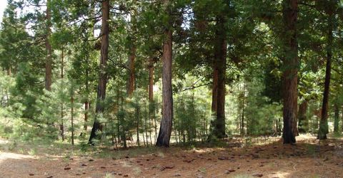 745 Blacktail Ridge, Portola, CA 96122 Photo