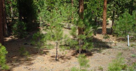 745 Blacktail Ridge, Portola, CA 96122 Photo