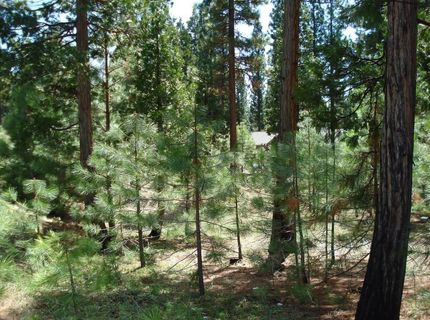 745 Blacktail Ridge, Portola, CA 96122 Photo