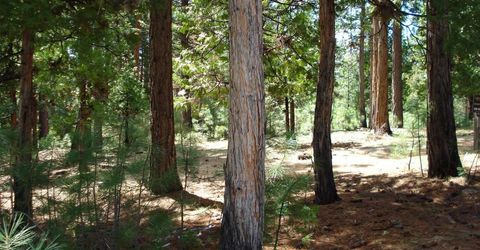 745 Blacktail Ridge, Portola, CA 96122 Photo