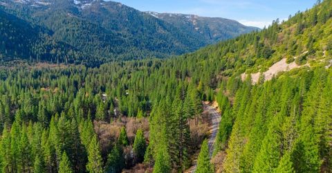 109 Lewis Ln., Sierra City, CA 96125 Photo