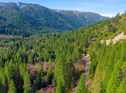 109 Lewis Ln., Sierra City, CA 96125 Photo