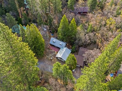 109 Lewis Ln., Sierra City, CA 96125 Photo