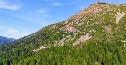 109 Lewis Ln., Sierra City, CA 96125 Photo