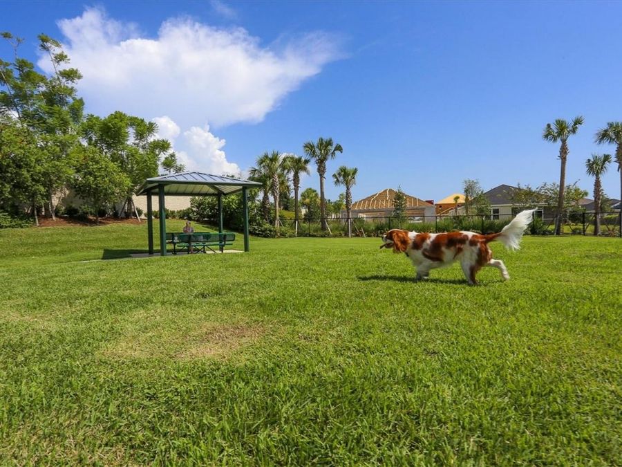Property Image 86