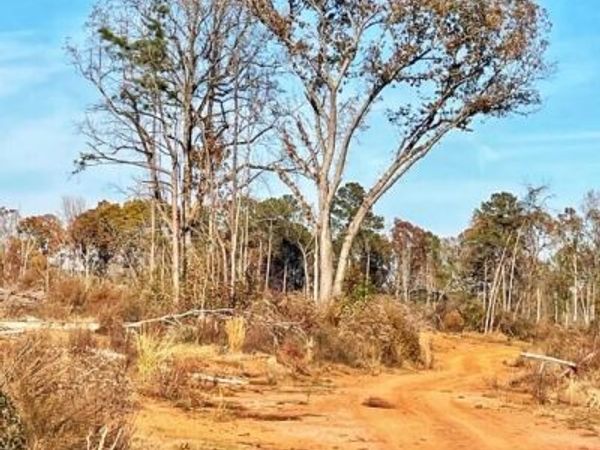 0 Fullerton-Phillips & Greer Road, Hillsboro, GA 31038