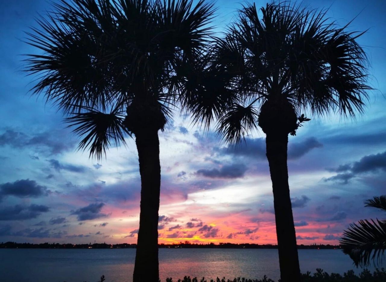 3460 S Ocean Boulevard, Unit 2090, Palm Beach, FL 33480 Photo