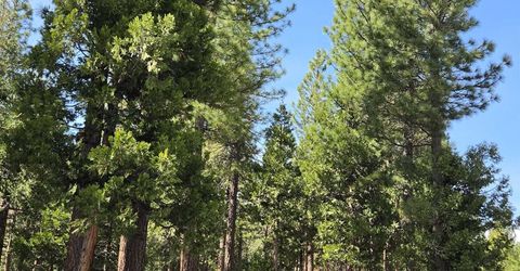 762 Blacktail Ridge, Portola, CA 96122 Photo