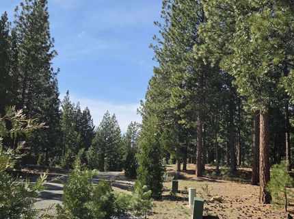 762 Blacktail Ridge, Portola, CA 96122 Photo