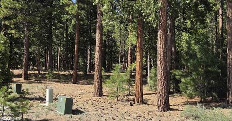 762 Blacktail Ridge, Portola, CA 96122 Photo