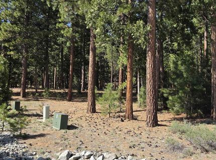 762 Blacktail Ridge, Portola, CA 96122 Photo