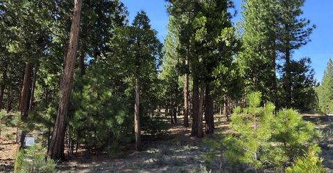 762 Blacktail Ridge, Portola, CA 96122 Photo