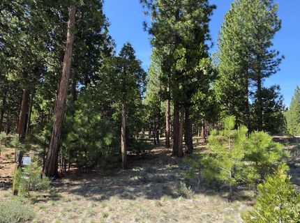 762 Blacktail Ridge, Portola, CA 96122 Photo