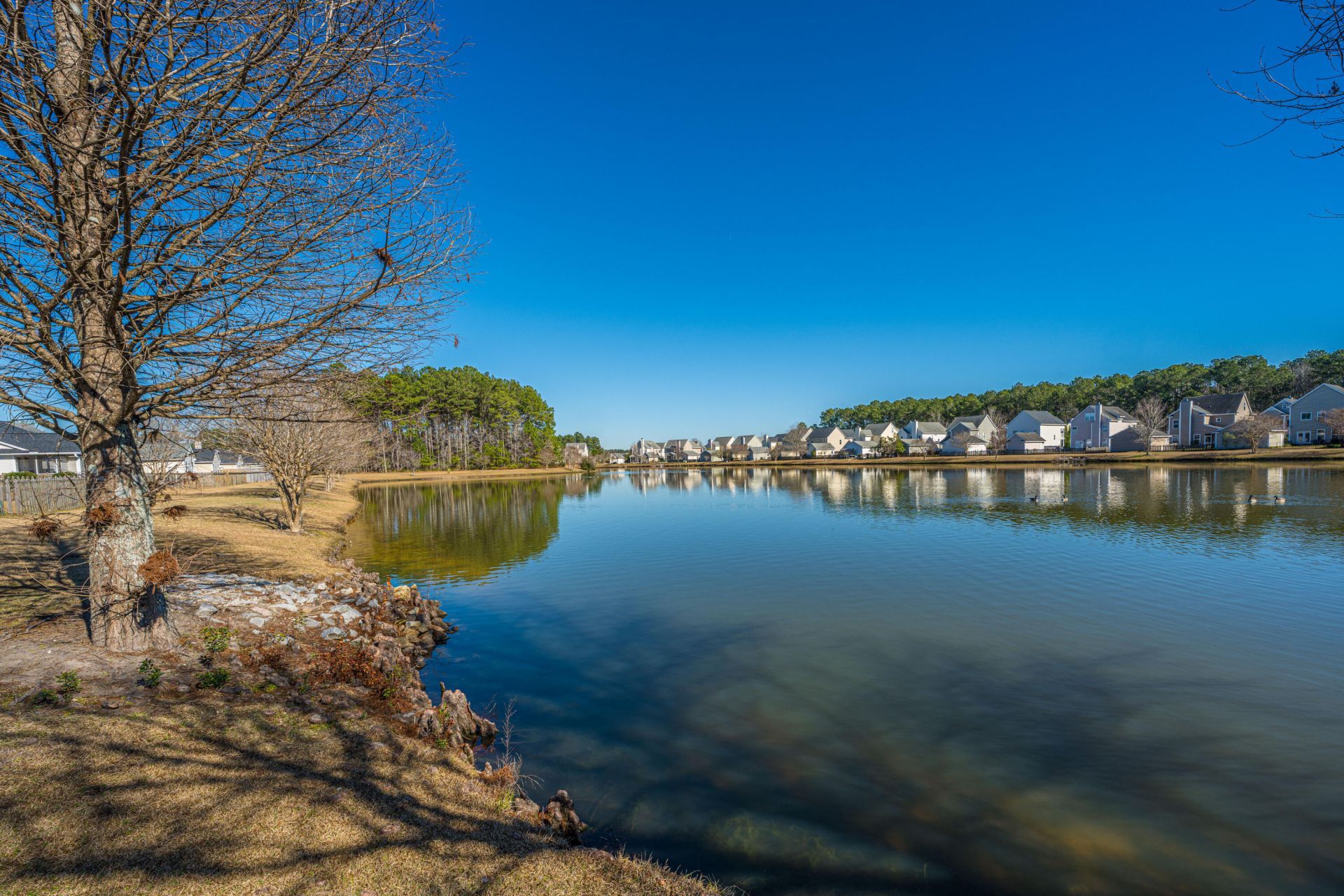 105 Avonshire Drive Photo 26